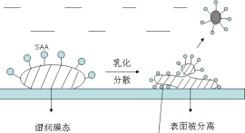 1577173715590895.jpg 2283136049,2659043259.jpg